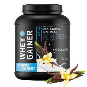 WHEY GAINER 3000 г. банка  (Aminocarnit)